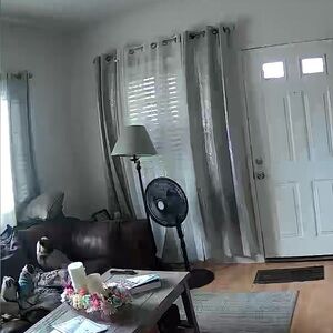 The Big One Elegant Silver 2 panels Curtains Room Darkening 84”